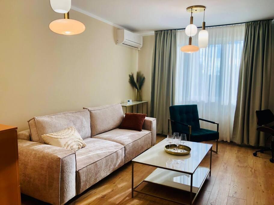 Joy City Stay Victoriei 7G-13 Timişoara Exterior foto